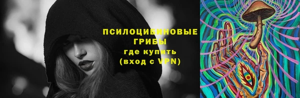 альфа пвп Заволжск