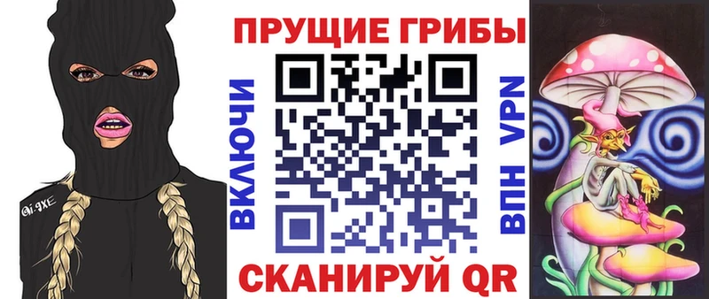 Псилоцибиновые грибы мухоморы  mega как зайти  Кызыл 
